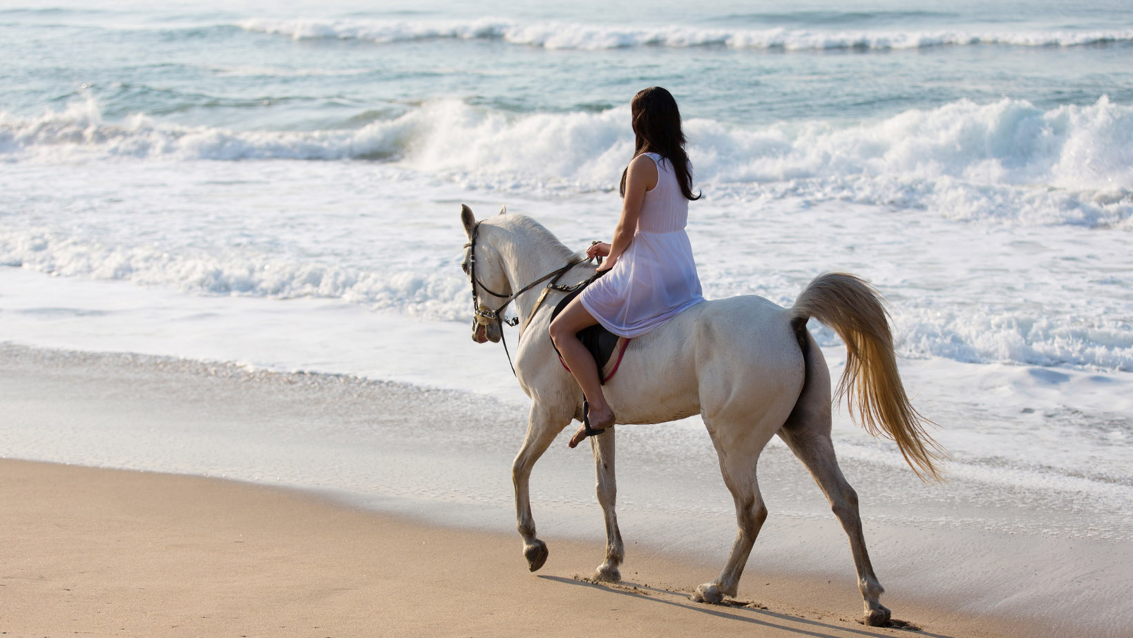 Horse riding on Tofo beach